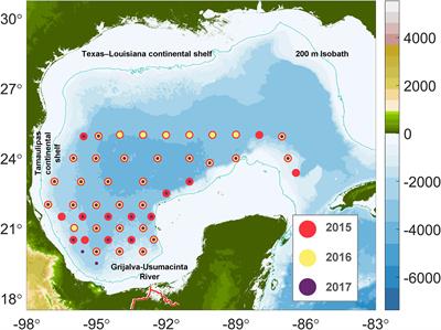 Particulate organic carbon in the deep-water region of the Gulf of Mexico